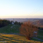 colline al tramonto