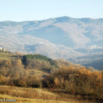 il Monte Penice come sfondo per le colline