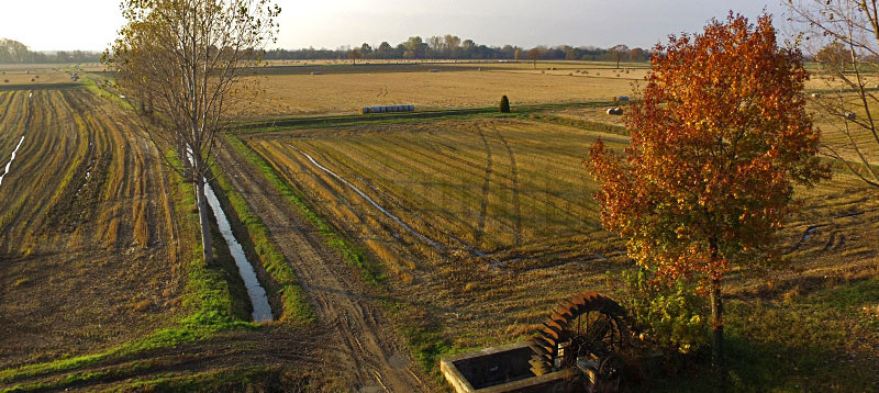 campagna settimo
